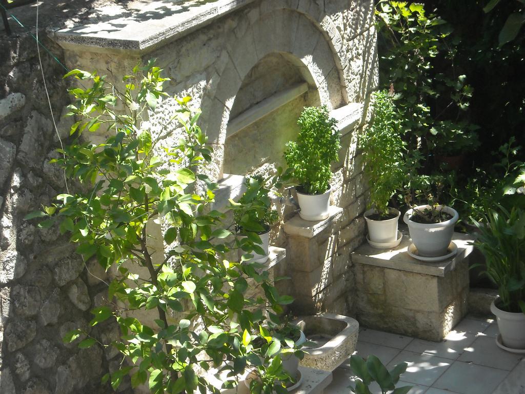 Epavli Antonis Apartment Konitsa Exterior photo